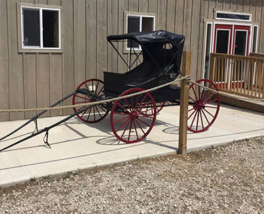 Serendipity Farms amish buggy