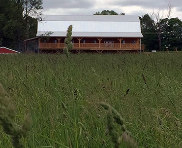 Serendipity Farms barn