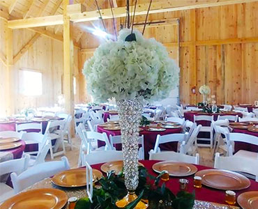 Serendipity Farms reception area 